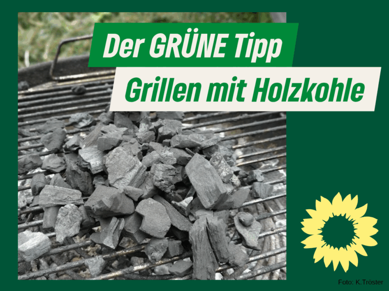 Grillen mit Holzkohle – Ein heißes Eisen