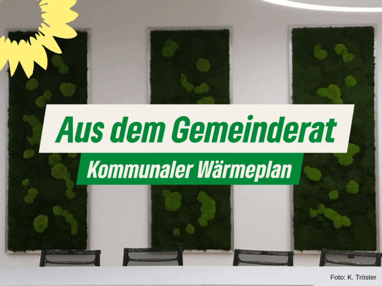 Abschlussbericht der Kommunalen Wärmeplanung