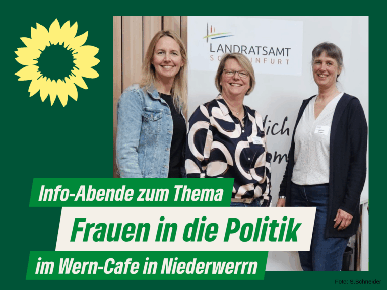 Frauen in die Politik