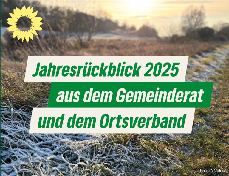 Jahresrückblick 2025